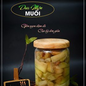 MN157. GIÁO TRÌNH DỌC MÙNG MUỐI CHUA