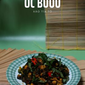 M88 - KHOÁ HỌC MÓN ỐC BƯU XÀO TÍA TÔ