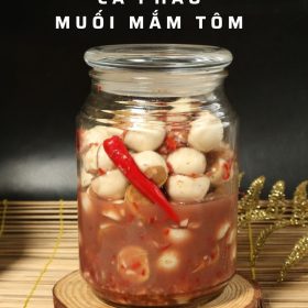 M309 - KHOÁ HỌC MÓN CÀ PHÁO MUỐI MẮM TÔM